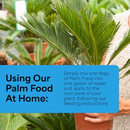Grow More Palm Food with Yucca Extract (15-5-15) - 1.5lbs of Outdoor & Indoor Palm Tree Fertilizer - Water Soluble Fertilizer Enriched with 6 Micronutrients for Increased Growth & Foliage - Image 4