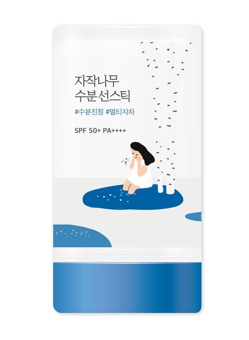 ROUND LAB Birch Juice Moisturizing Sun Stick 19g - Image 1