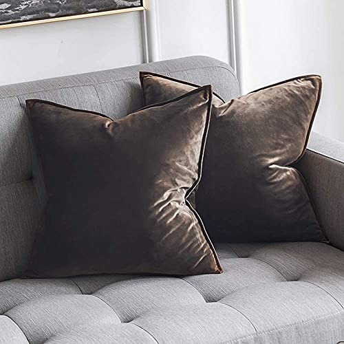Blue Monkey Soft Velvet Cushion Cover Soft Throw Pillow Cover Pack of 2, Solid Square Cushion Case (10x10, Brown) - Image 1