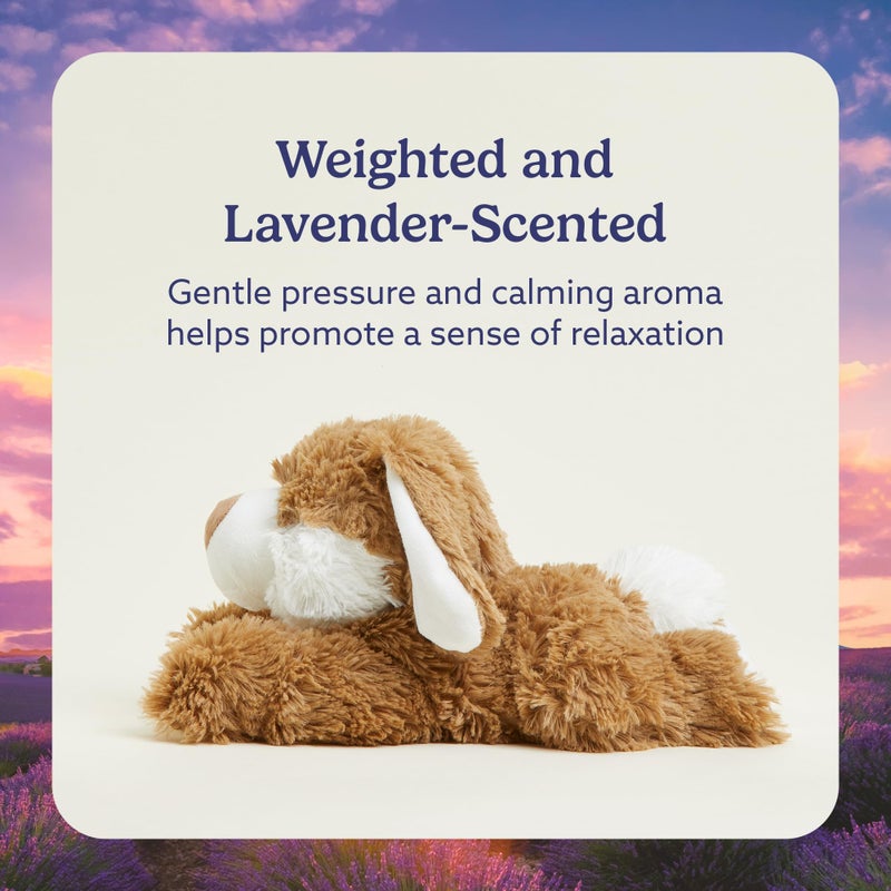 warmies Microwavable & Weighted Stuffed Animals, Brown Bunny - Heated Stuffed Animal Plushie for Warmth & Comfort - Cute Soft Plush Toys for Adults & Children (Boys, Girls, Babies & Toddlers) - Image 3