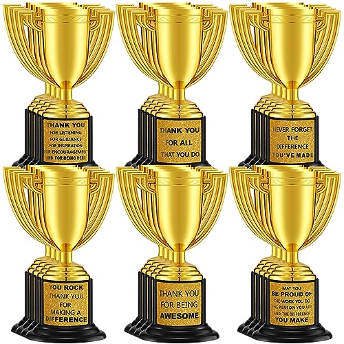 Highergo 24 Pcs Mini Trophies Awards Plastic Gold Trophy Cups Party Favors Adults Metal Trophy with Stickers for School Football Golf Sports Competition Staff Reward Appreciation GiftsAppreciate - Image 1