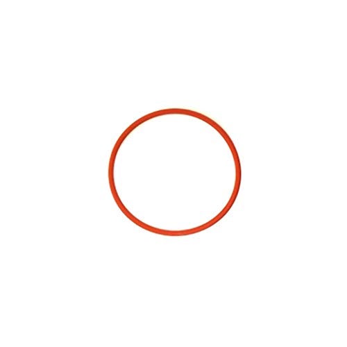 Rancilio Silvia Boiler Gasket - Image 2