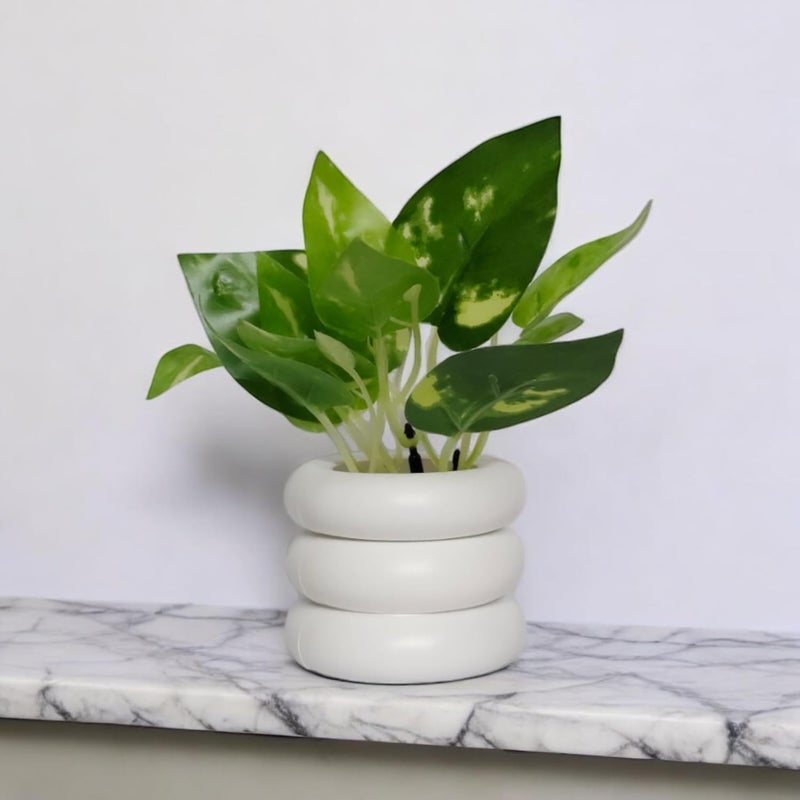 Flora Planet Artificial Plants for Home Decor | Realistic Looking | Home Decor Items | Durable Plastic | Wall Decoration Items for Living Room | Dimensions: 6 cm X 12 cm (Green) - Image 2