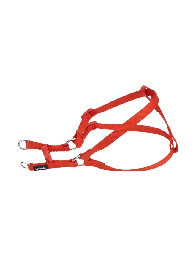 كوستال - حزام كلب مريح قابل للتعديل من لي'ل بالز - أحمر - 3/8 بوصة × 8 بوصة - 14 بوصة