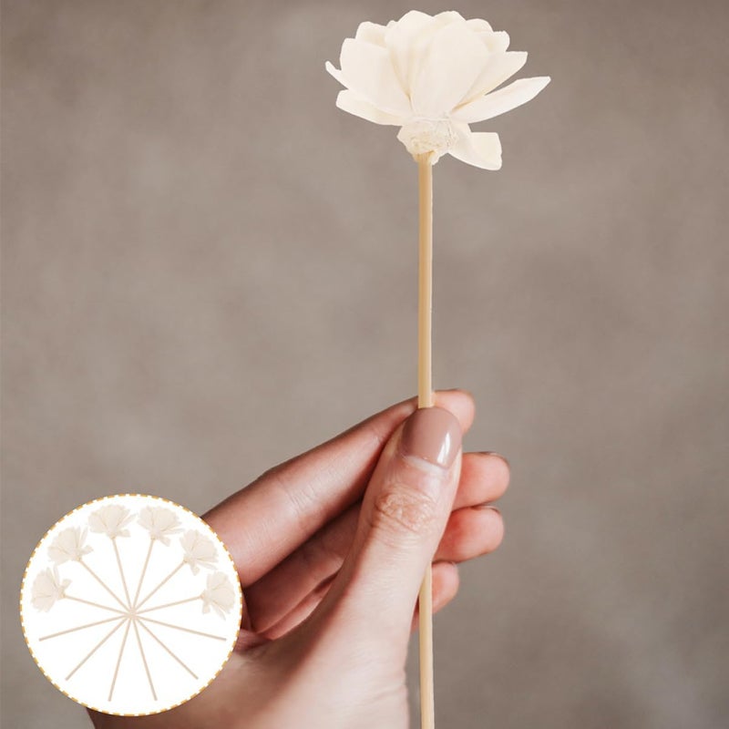 Amosfun 8pcs Natural Dried Flower Diffuser Sticks Rattan Diffuser Flowers for Home Fragrance Elegant Replacement Refills for Decor - Image 4
