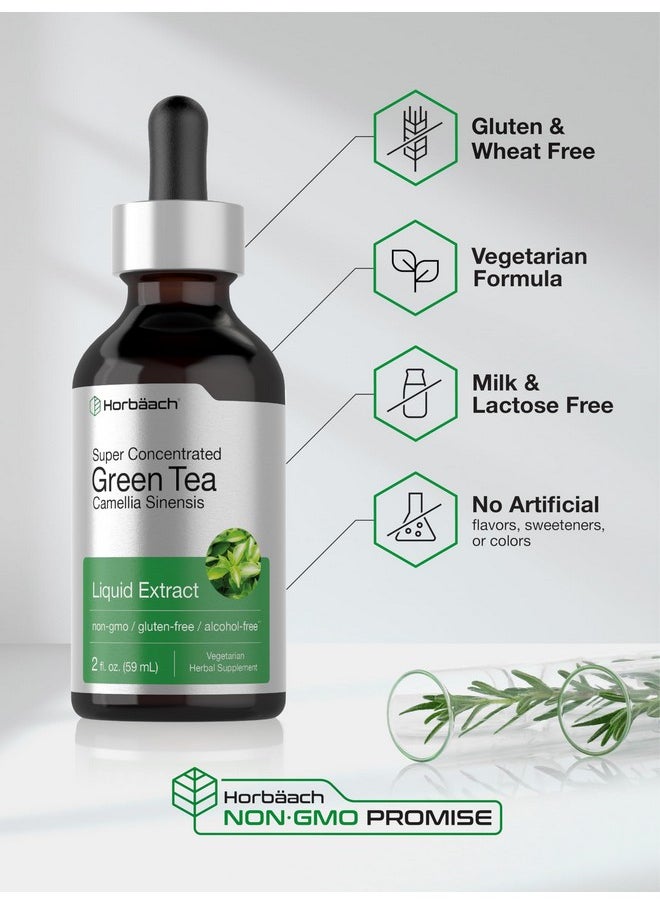 Horbaach Horbäach Green Tea Extract Liquid | 2 Fl Oz | Alcohol Free, Vegetarian Tincture | Super Concentrated Supplement | Non-GMO, Gluten Free  - Image 2