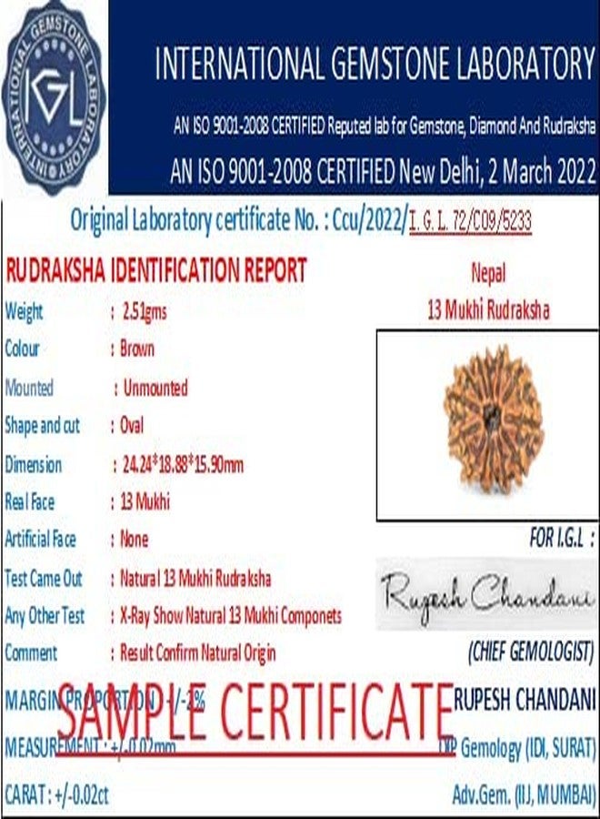 IRIS GEMS 13 मुखी रुद्राक्ष ओरिजिनल लैब सर्टिफाइड Natural Terah Mukhi Rudraksha Original Certified From Nepal Thirteen Faced Rudraksh 13 Mukhi Easy To Wear With Silver Pendant & Red Thread 13 Mukhi Rudraksha तेरह मुखी रुद्राक्ष - Image 5