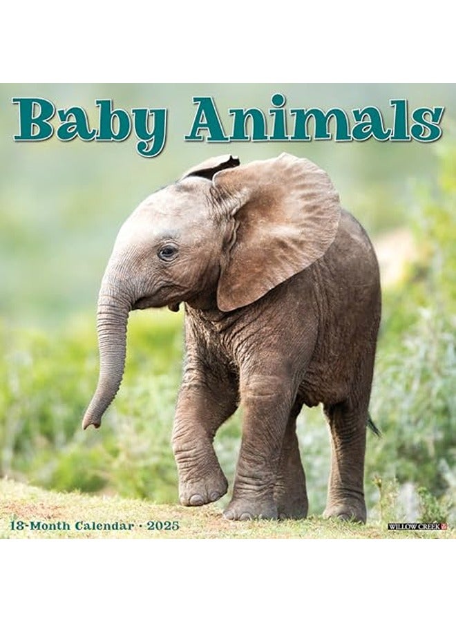 Baby Animals 2025 12 X 12 Wall Calendar