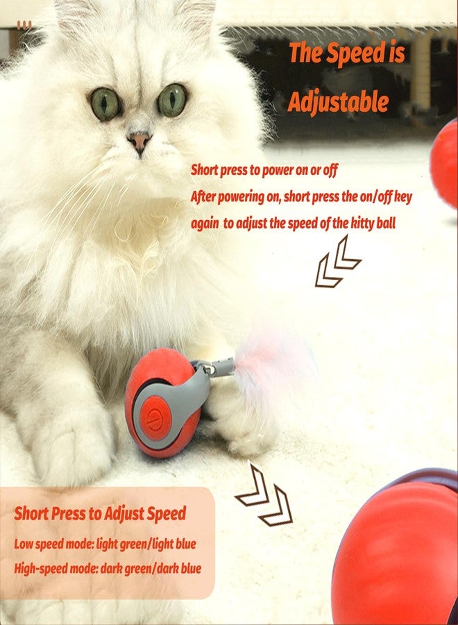 Eiruseed Upgraded Speedy Interactive Cat Ball 4.0 Toys with 2 Optional Tails, Smart Moving Ball Cat Toy for Bored Indoor Cats, Rechargeable & Detachable Automatic Kitten Rolling Balls Toy (Orange) - Image 2