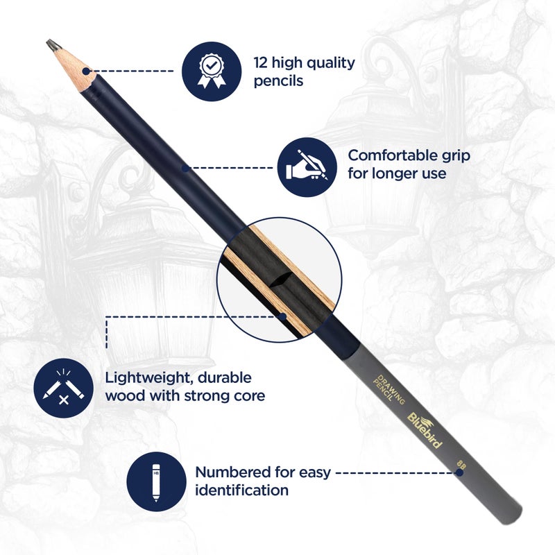 BLUEBIRD Sketch Pencils Set of 12 (2Hâ€“8B) â€“ Drawing Pencils for Sketching, Art Supplies for Adults & Teens, Ideal for Drawing Art, Sketching, & Shading - Image 3