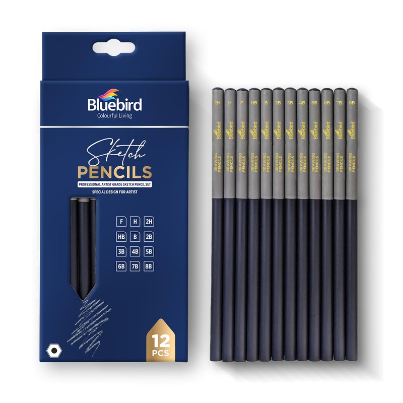 BLUEBIRD Sketch Pencils Set of 12 (2Hâ€“8B) â€“ Drawing Pencils for Sketching, Art Supplies for Adults & Teens, Ideal for Drawing Art, Sketching, & Shading - Image 1