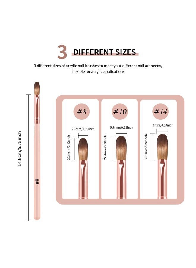 MAGIC ARMOR 3pcs Acrylic Nail Brush Set, Size 8/10/14 Acrylic Nail Brushes for Acrylic Application, Professional Acrylic Powder Brushes for Acrylic Powder Application, Nail Extension, 3D Nail Carving - Image 2
