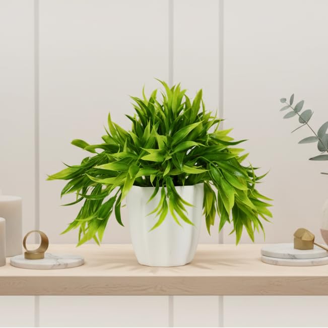 fancymart Artificial Bamboo Leaves Potted Plant with Height 22 cm Perfect for Home & Office Décor - Image 5
