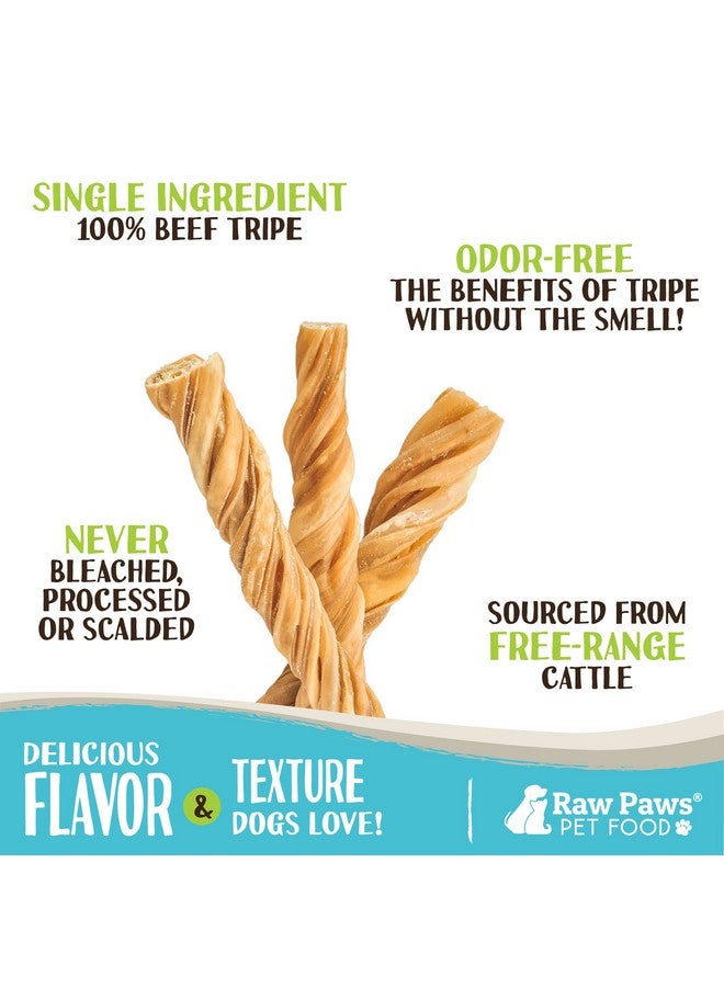 Raw Paws Beef Tripe Twists For Dogs  5 Inch, 5Pack  Packed In Usa  FreeRange Green Tripe Sticks For Dogs  OdorFree, Crunchy Tripe Dog Treats  AllNatural Green Beef Tripe Sticks Chews - Image 2
