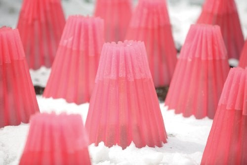 Bosmere Kozy Coats Garden Teepee Insulated Plant Covers | Protects Plants From Winter Weather, Water Filled Freeze Protection For Plants | Pack of 6 - Image 3