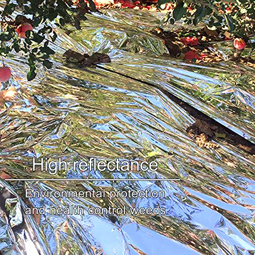 winemana 6 Pack Large High Silver Reflective Mylar Film, 83x 63 in, High Reflectivity, Keep Warm, 100% Environmentally Safe, Perfect for Plant Growth, First Aid, Marathon, Camping, Outdoor Survival - Image 5