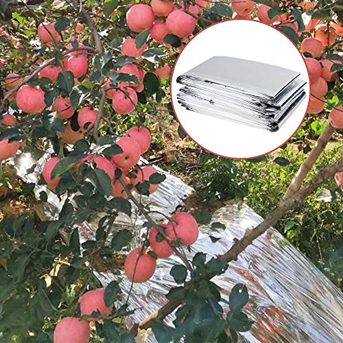 winemana 6 Pack Large High Silver Reflective Mylar Film, 83x 63 in, High Reflectivity, Keep Warm, 100% Environmentally Safe, Perfect for Plant Growth, First Aid, Marathon, Camping, Outdoor Survival - Image 3