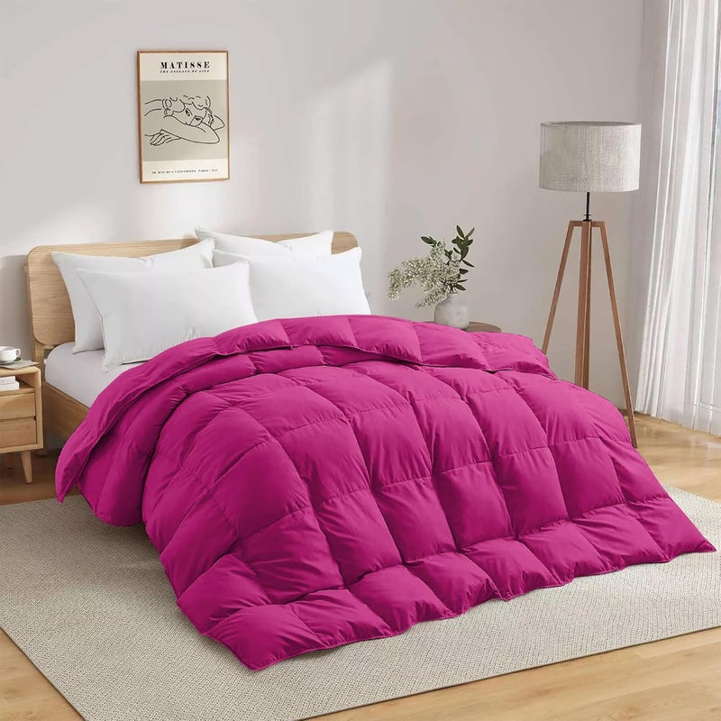 BEDDY FUSION Heavy Winter 600 GSM Comforter Double Bed Size 90X100 600 GSM Microfiber Super Soft Fluffy for Winter ComforterRajaiDuvetBlanket Double Bed Hot Pink Color - Image 2