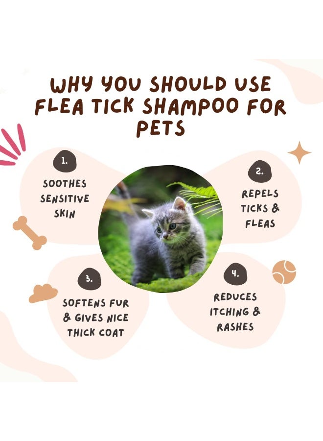 Coco Crush Organic Pet Flea & Tick Care Combo | Herbal Shampoo with Neem & Lemongrass + Fine Tooth Coat Comb | Anti-Itch & Non-Toxic Protection | Safe for Dogs & Cats (50ML+SHORTCOMB) - Image 2