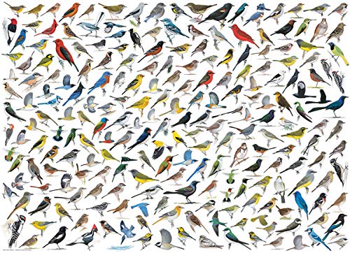 EuroGraphics The World of Birds (1000 Piece) Puzzle - Image 2
