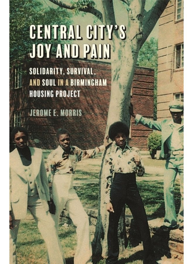 Central City s Joy and Pain Solidarity Survival and Soul in a Birmingham Housing Project - Paperback