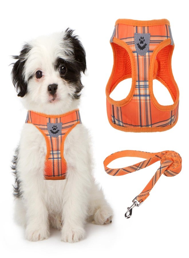 كولتيل سرج كلاب صغير من كولتايل، بنقشة مربعات برتقالية، سهل الارتداء، مبطن بشبكة ناعمة، قابل للتعديل، عاكس للضوء، مع مقود، مقاس XS-S - Image 1