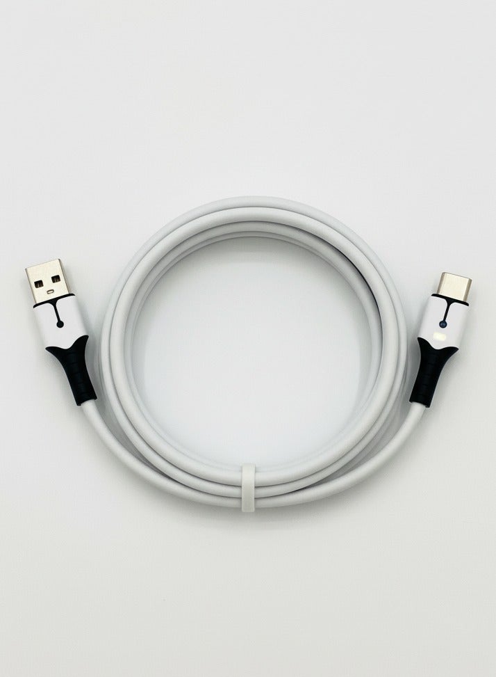 Alpha X Durable PS5 DualSense Controller Cable - Fast Charging & High-Speed Data - 2m USB-A to USB Type C - Image 2