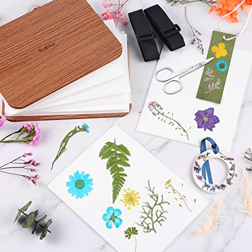 Suziko مجموعة ضغط الزهور المحترفة سوزيكو 6 طبقات 6.3 × 8.3 بوصة، بني، مجموعة ضغط الزهور للبالغين والأطفال، هدية رائعة للحبيب - Image 4