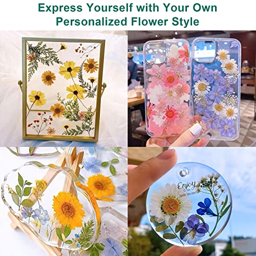 Suziko مجموعة ضغط الزهور المحترفة سوزيكو 6 طبقات 6.3 × 8.3 بوصة، بني، مجموعة ضغط الزهور للبالغين والأطفال، هدية رائعة للحبيب - Image 3