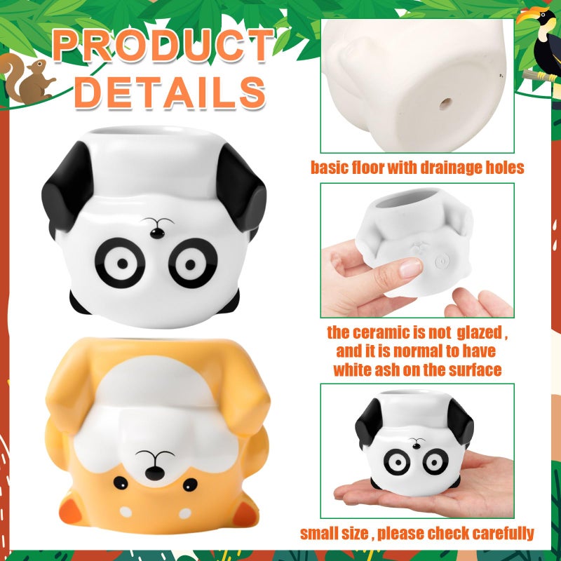 Chuangdi 6 Sets DIY Ceramic Succulent Pots Paint Animal Planters Unpainted Plant Flower Pot Paintable Ceramic Painting Kit Drainage Hole Color Paints Paintbrushes Palettes for Craft Activity - Image 5