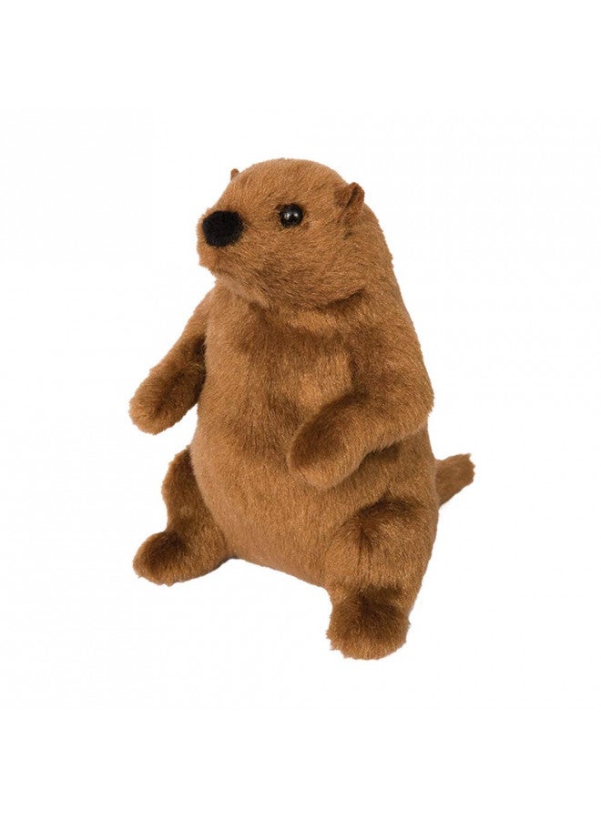 Douglas Mr G. Groundhog Plush Stuffed Animal