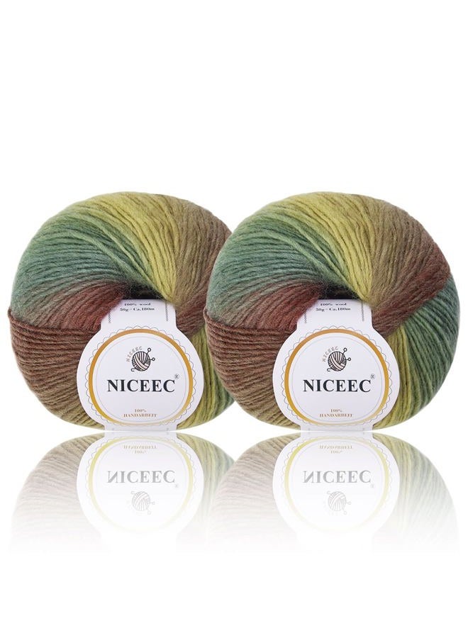 NICEEC 2 Skeins Rainbow Soft Yarn 100% Wool Gradient Multi Color Yarn for Crocheting Knit Total Length 180m×2(196yds×2,50g×2)-15# - Image 1