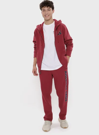 American Eagle Graphic Zip Through Hoodie