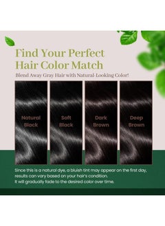 DONGSUNG Herb Speedy Color Cream (Dark Brown, 1 Pack), PPD-Free Ammonia-Free Vegan Hair Dye with Sun Protection, Odorless, Gentle for Sensitive Scalp, No Eye or Scalp Irritation - pzsku/Z4F6A954C8759D79DAAA4Z/45/_/1741204950/7e120c5e-6023-4272-8dd8-c829e653c466