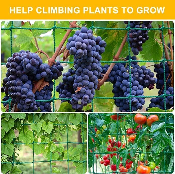 Loiisgy Plant Climbing Net & Creeper Net Garden Plant Netting Mesh Vine Net Climbing Trellis for Vegetables, Clematis, Cucumber, Grapes, Tomatoes, Flowers and Vine Plants (6.6 X 9.8 Feet) - Image 2