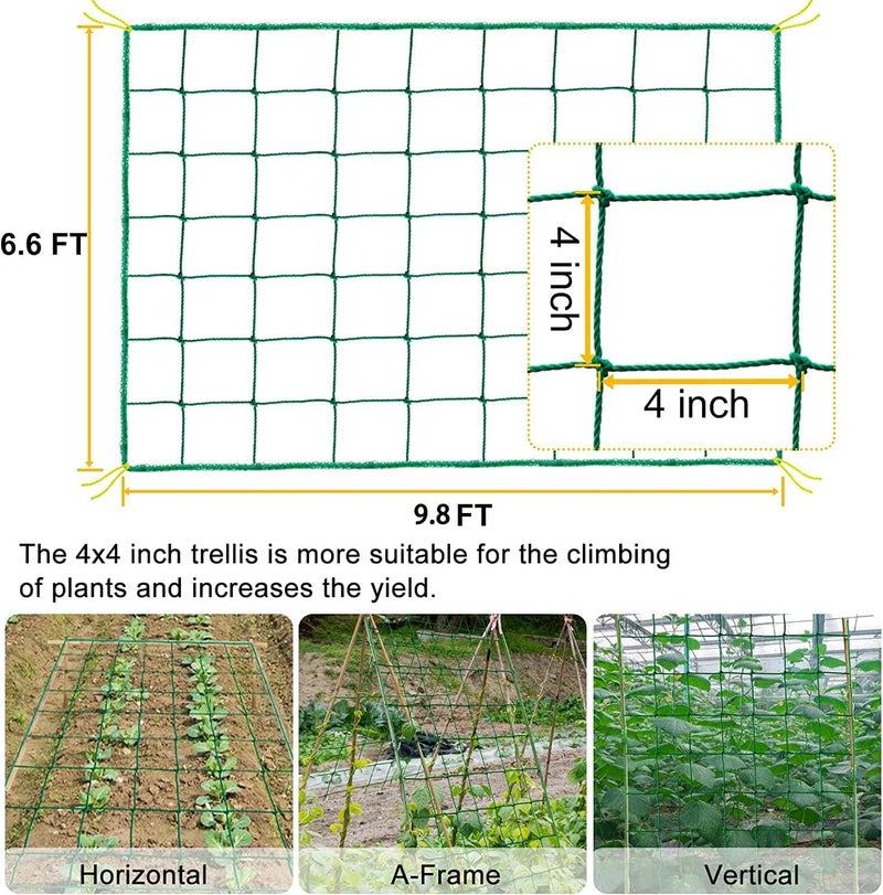 Loiisgy Plant Climbing Net & Creeper Net Garden Plant Netting Mesh Vine Net Climbing Trellis for Vegetables, Clematis, Cucumber, Grapes, Tomatoes, Flowers and Vine Plants (6.6 X 9.8 Feet) - Image 5