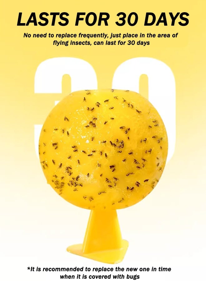 6 pcs Yellow Sticky Traps | Fruit Fly Trap for Fruit Flies, Fungus Gnat and Whitefly For Plant Gnats, Gnat Trap withase & Double-sided Tape for Indoor - Image 5
