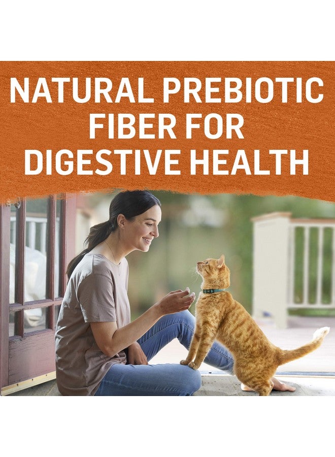 Beyond Purina Beyond Grain Free Wet Cat Food Pate Variety Pack Poultry 12Ct Vp  (2 Packs Of 12) 3 Oz. Cans - Image 4