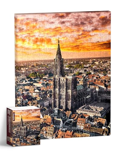 PieceRelax Puzzle Canvas Wall Art 366 Plastic Pieces for Adults Henry Do Aerial Photography Strasbourg Cathedral France Unique Gift Home Dcor with Jigsaw Puzzle Artwork HN1312 - Image 1