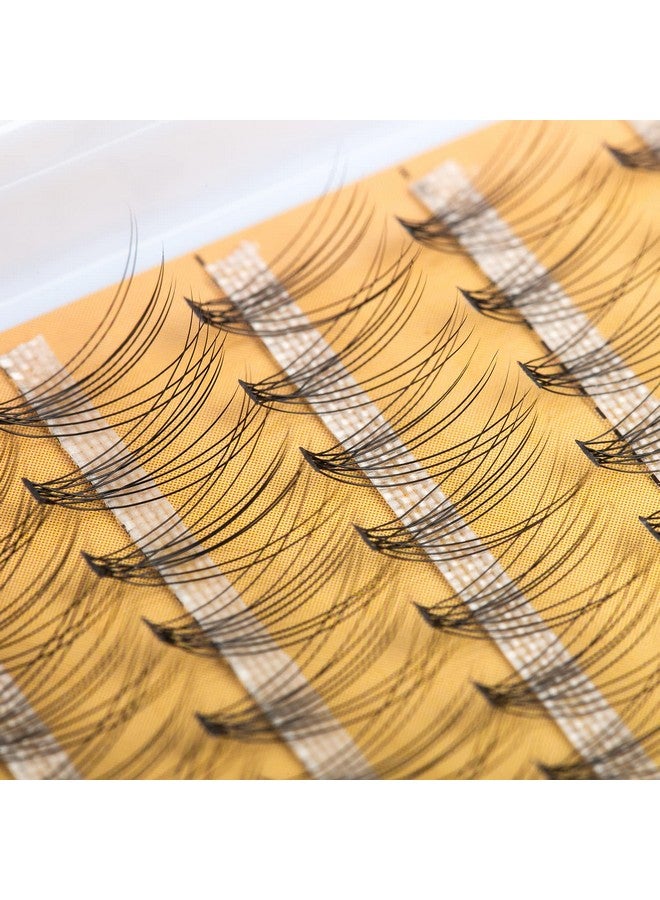 FinyDreamy 240Pcs Individual Lashes Extension 10D Natural Mix Pack Cluster Lashes 812Mm Mix Lengths C Curl 0.07Mm Thickness Professional Makeup Individual Cluster Lashes And Apply Under Your Lashes - Image 2