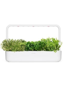 CLICK AND GROW Seeds Italian Herb Mix 9 Pack  - Image 2