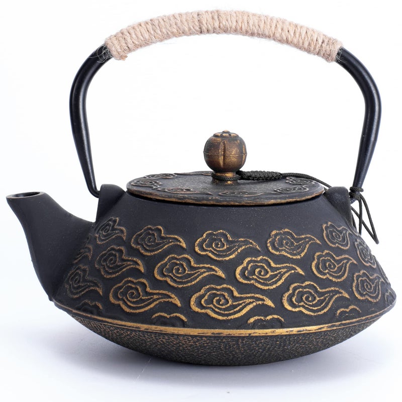 Cast Iron Teapot Japanese Tea Pot with Infuser for Loose Leaf Tea Kettle Stovetop Safe Coated with Enameled Interior Clouds Pattern 27oz 800ml Black