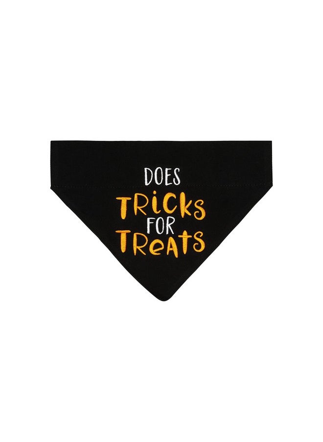 pearhead Pearhead Trick or Treat Bandana - Fall Holiday Dog Apparel, Halloween Dog Costume, Slip On Collar Accessories - S/M  - Image 1