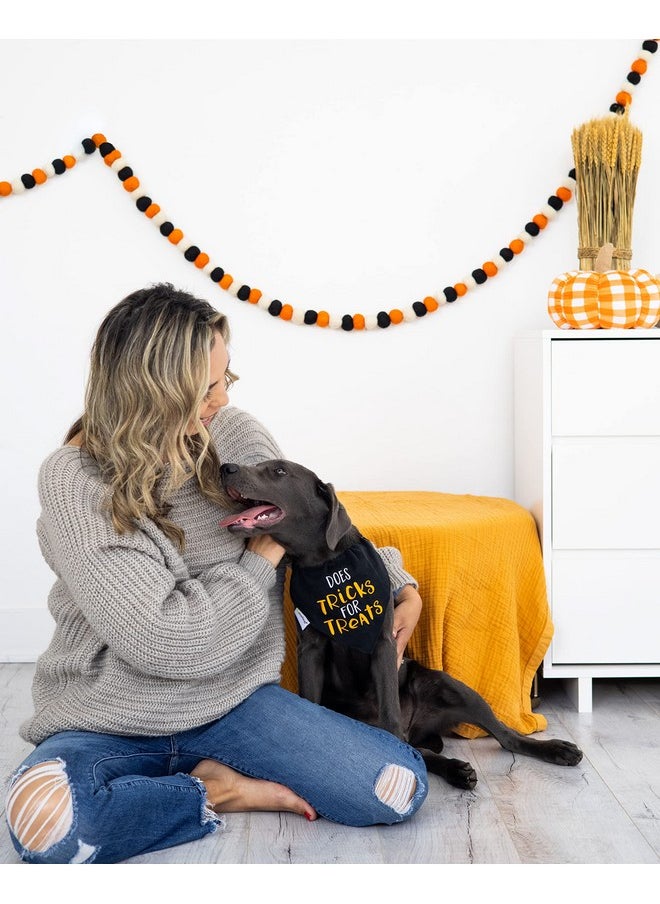 pearhead Pearhead Trick or Treat Bandana - Fall Holiday Dog Apparel, Halloween Dog Costume, Slip On Collar Accessories - S/M  - Image 5