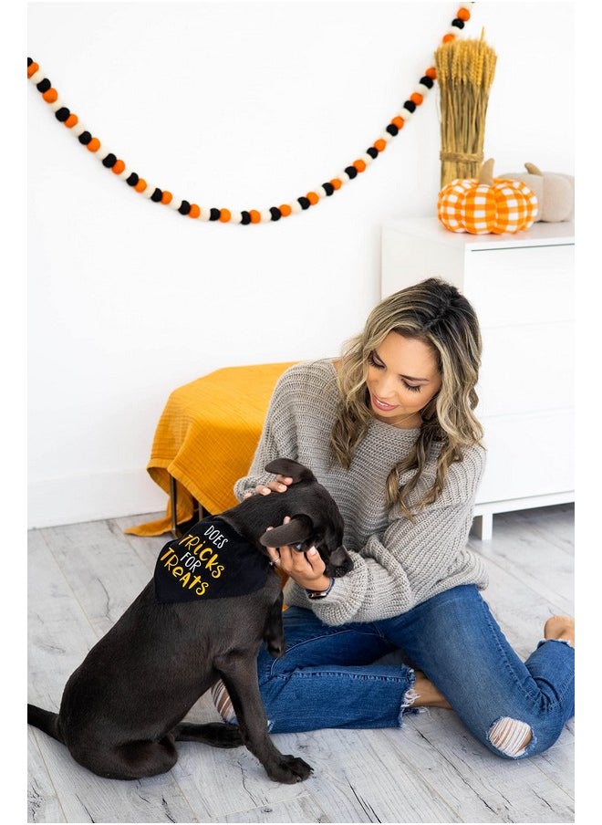 pearhead Pearhead Trick or Treat Bandana - Fall Holiday Dog Apparel, Halloween Dog Costume, Slip On Collar Accessories - S/M  - Image 4