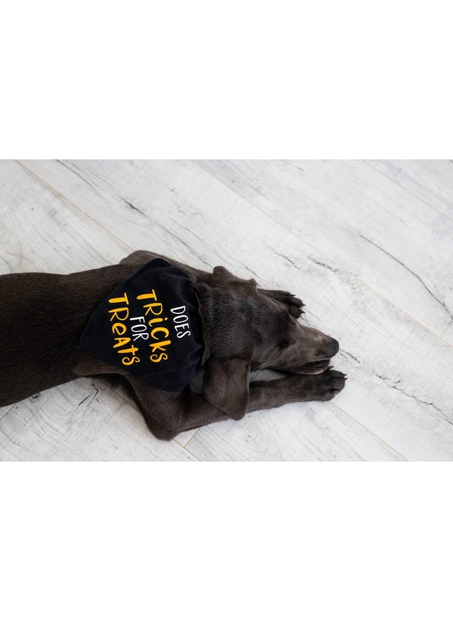 pearhead Pearhead Trick or Treat Bandana - Fall Holiday Dog Apparel, Halloween Dog Costume, Slip On Collar Accessories - S/M  - Image 3