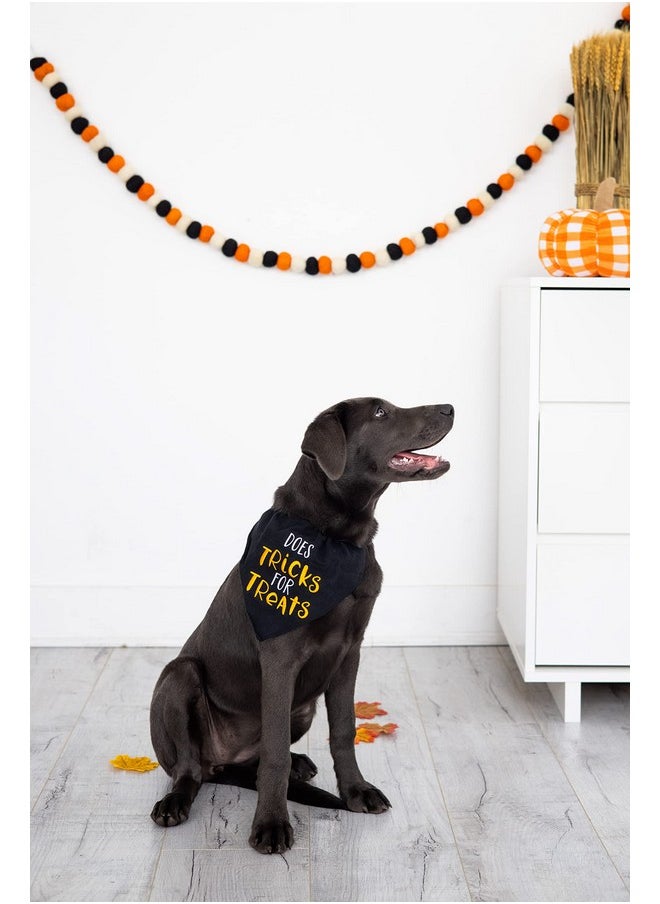 pearhead Pearhead Trick or Treat Bandana - Fall Holiday Dog Apparel, Halloween Dog Costume, Slip On Collar Accessories - S/M  - Image 2