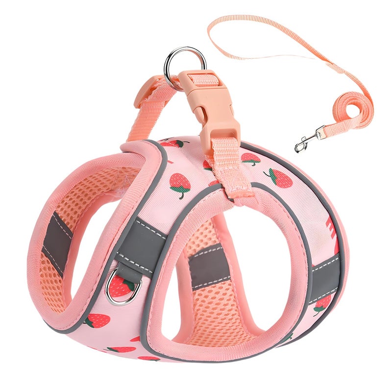 Flymind Step in Dog Harness and Leash Set, Flower Adjustable Easy Walk Puppy Harnesses, Soft Mesh No Pull Pet Vest Harness for Small Dogs and Cats(Strawberry, XXS) - Image 1