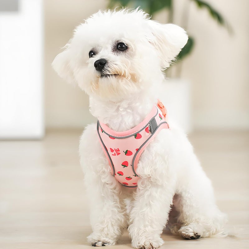 Flymind Step in Dog Harness and Leash Set, Flower Adjustable Easy Walk Puppy Harnesses, Soft Mesh No Pull Pet Vest Harness for Small Dogs and Cats(Strawberry, XXS) - Image 5