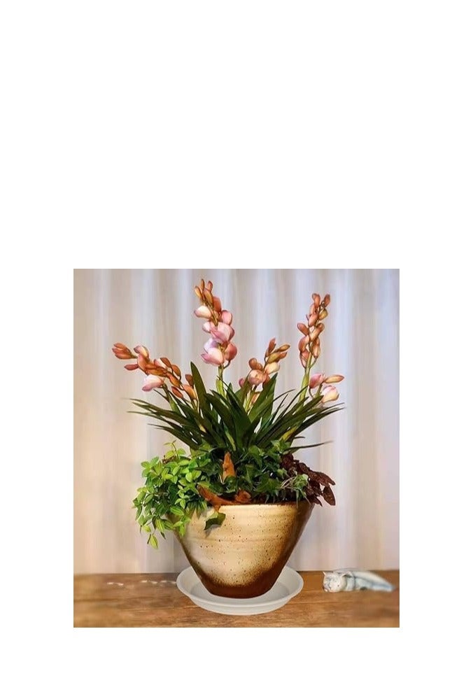 Sunny, Planter Pot, Planter Tray Saucer Pots, Planter Tray, Plant Saucers, Plastic Plant Saucers, Shallow Trays Flower Pot for Indoor and Outdoor Plants Beige (20, 35cm) - Image 2